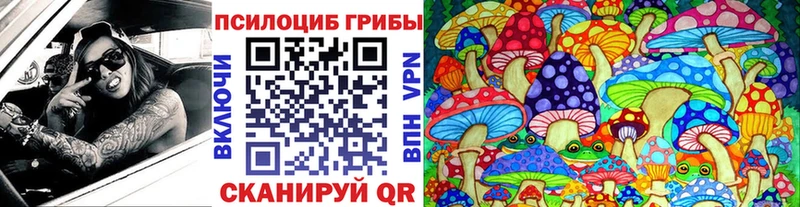 mega маркетплейс  Электрогорск  Галлюциногенные грибы Psilocybe  как найти закладки 