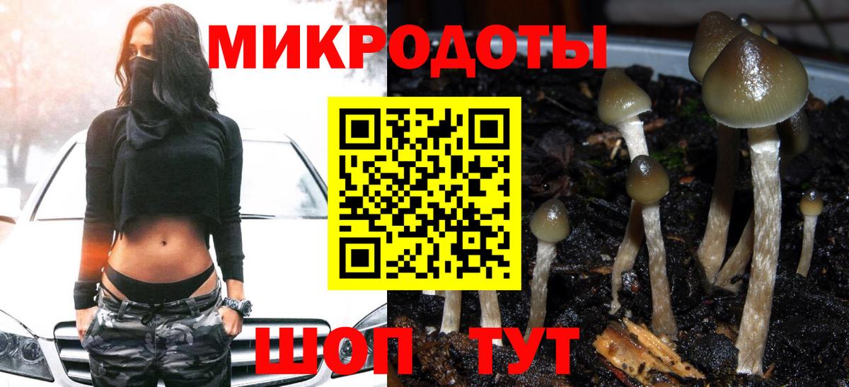 Псилоцибиновые грибы GOLDEN TEACHER Электрогорск