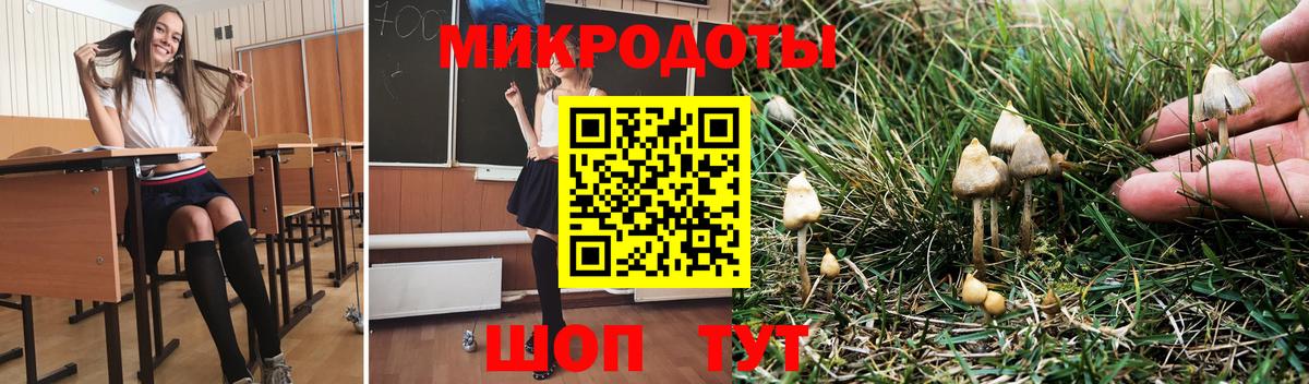 Псилоцибиновые грибы GOLDEN TEACHER  Вход с VPN  Электрогорск 
